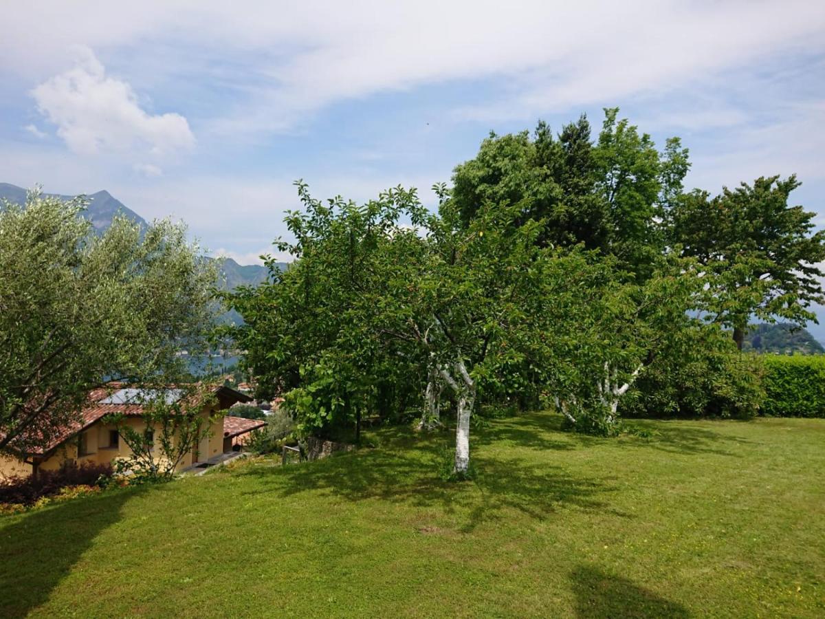 Villa Primula Bellagio Exterior photo